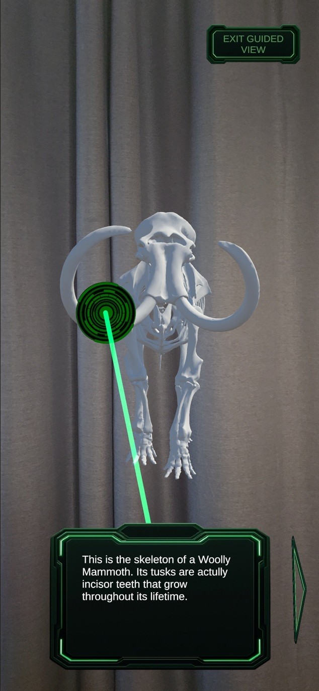 ArtifactView AR detail